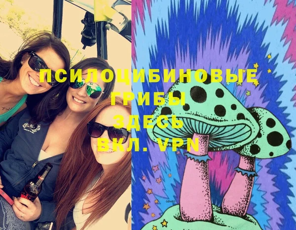 СК Горняк
