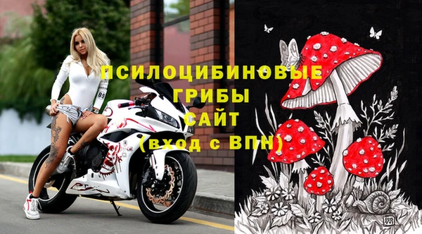 СК Горняк