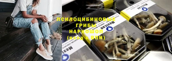 твердый Горнозаводск